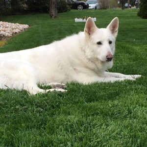 Fundraising Page: Sabrina Flath